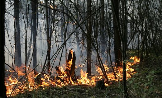 Līdz ar talku valstī sākas ugunsnedrošais laiks
