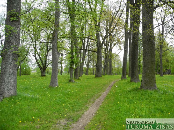 Šogad lielākie darbi plānoti Tukuma pilsētas parkā