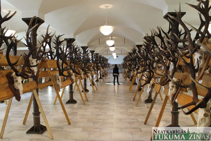 Jaunmoku pilī skatāma Latvijas medību trofeju izstāde /FOTO/