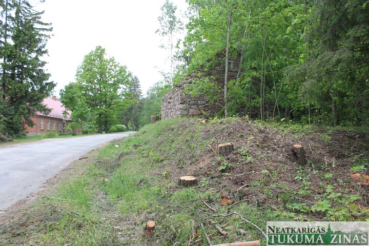 Sēmes pagastā nelegāli izcērt kokus