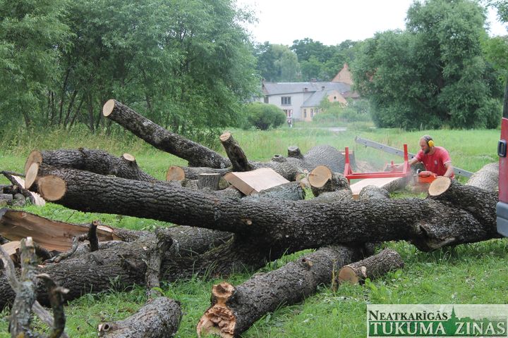 Tukuma pilsētas parkā izzāģē kokus