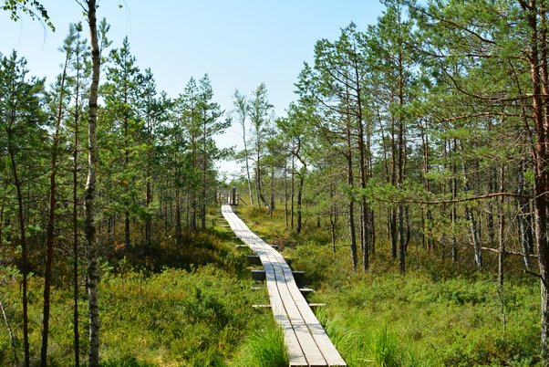 Ķemeru tīrelī atkal apmaldās cilvēks, Slampē pa 2. stāva logu izkrīt sieviete
