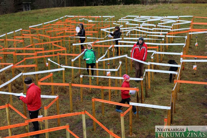«Sveikuļos» orientējas labirintā /FOTO/