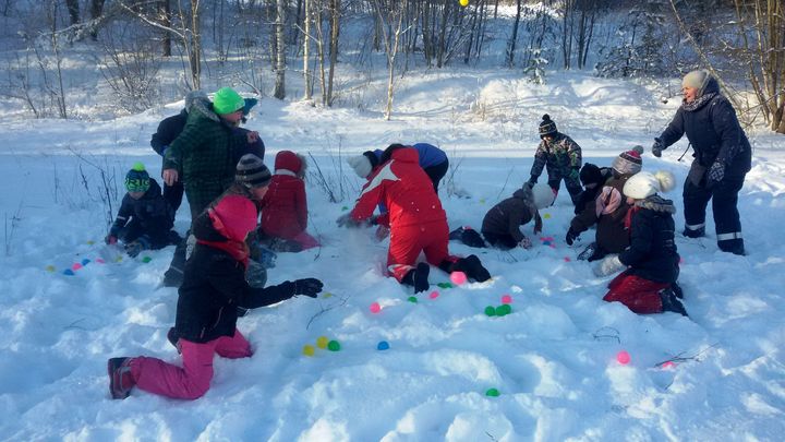 Vispasaules sniega diena Irlavā