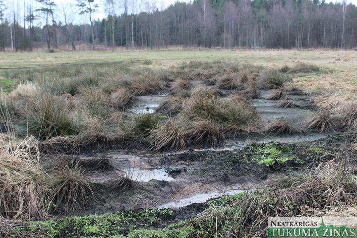Nepiekļūstot attīrīšanas iekārtām, «Unda» zivju taukus izgāž pļavā