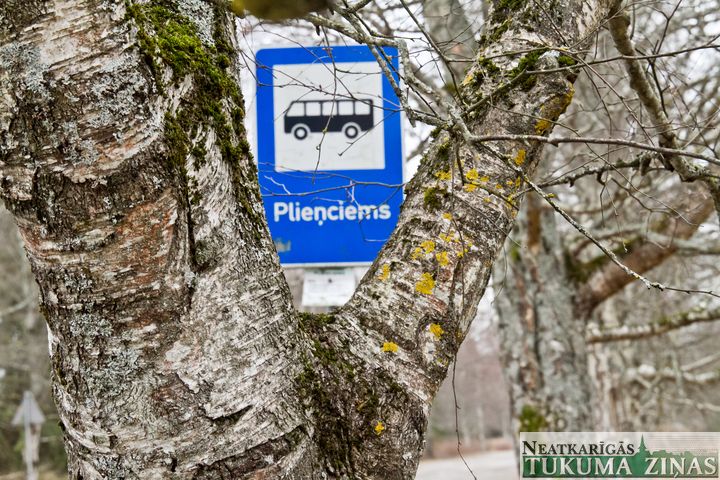 Apšuciema ceļa malā nocirtīs vairāk nekā 2000 koku