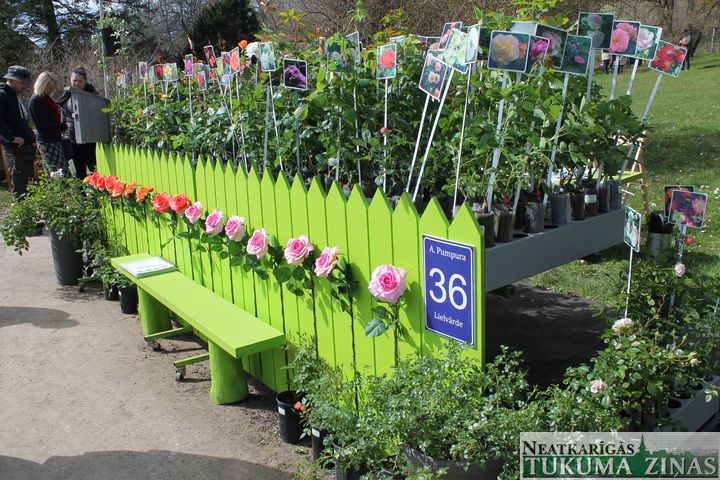 Maijs Kandavā sācies ar gadskārtējo Pavasara tirgu /FOTO/