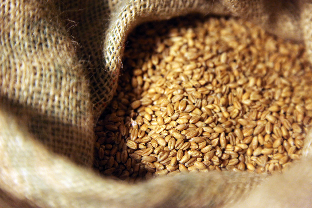 Par graudu izkrāpšanu no zemnieku saimniecībām apcietināti divi vīrieši