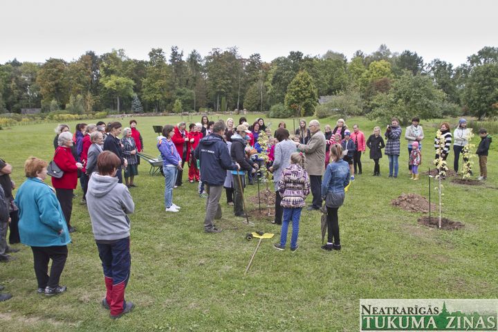 Lerha-Puškaiša parkā Džūkstē iestādīti 17 kociņi /FOTO/