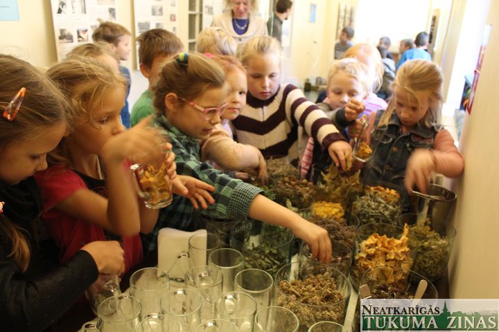 Noslēdzies projekts «Radošs prieks un rokdarbi Jaunpilī» /FOTO/