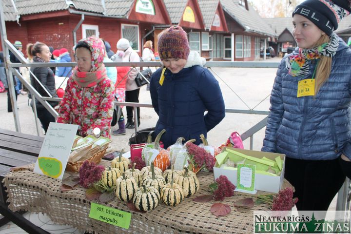 Kandavā aizvadīts mazpulku Kurzemes un Zemgales reģiona forums /FOTO/