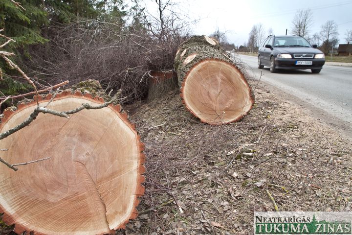 «Latvijas valsts ceļi» atmežo ceļmalas