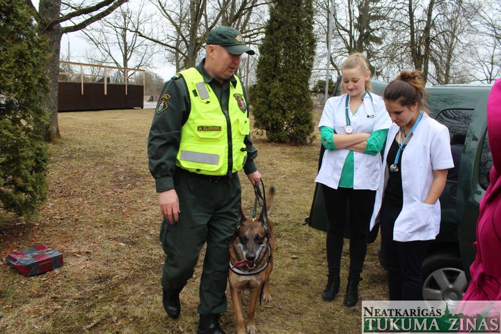 Karjeras diena Kandavā /FOTO/