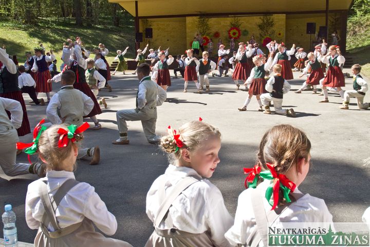 XVII Dziesmu un deju lietus Irlavā /FOTO/