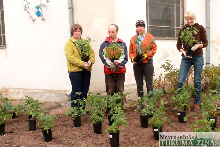 Eva un Arvis Bumbieri Tukuma baznīcai jubilejā dāvā 40 rožu stādus