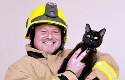 Ugunsdzēsēji glābēji Kandavā izglābuši kaķi, bet Tukumā – lapsu