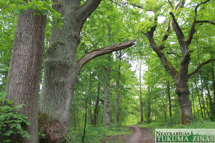 Slocenes ielas būvdarbu laikā pie mājām piebraukt nevarēs