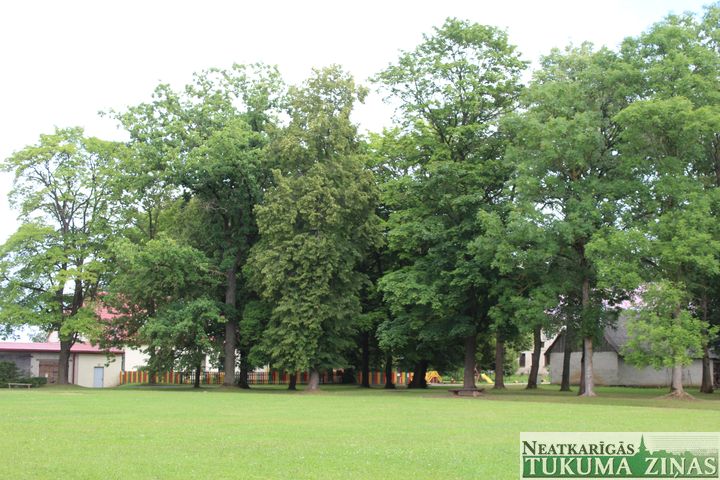 Jaunpilī stadiona pārbūves dēļ, iespējams, nocirtīs absolventu stādītas liepas