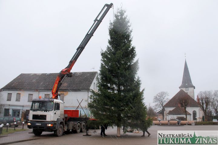 Tukuma egle šogad – garākā pēdējo 11 gadu laikā /FOTO/