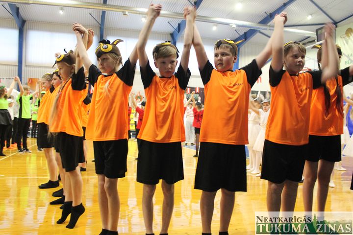 Ritmikas diena Kandavā /FOTO/
