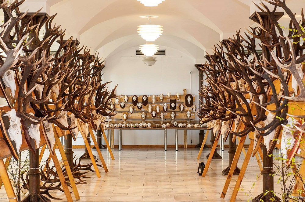 Latvijas Goda aplis un citi nedēļas nogales pasākumi Tukumā un apkārtnē