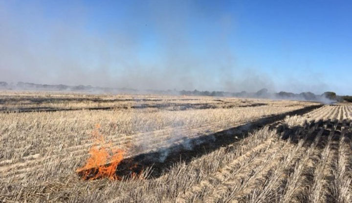 Jaunpilī deguši labības rugāji