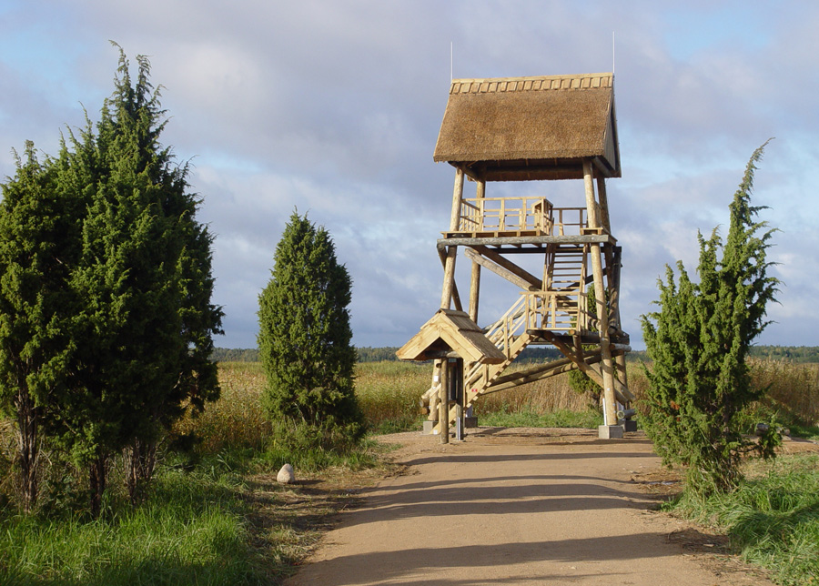 DAP aicina uz netradicionālo siena talku
