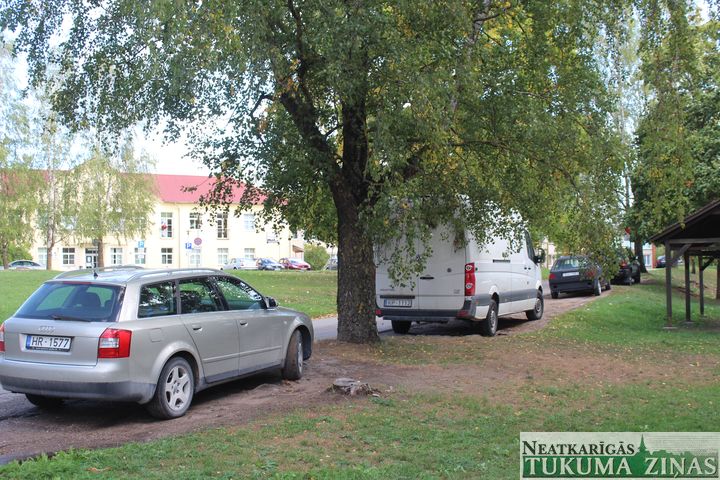 Žēl bērzu, kuriem saknes tiek nobraukātas