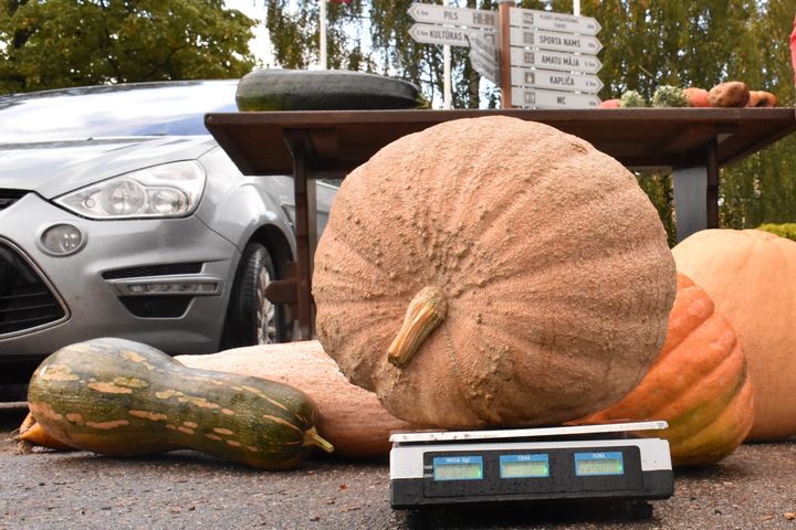 Miķeļdienā un sporta svētkos Jaunpilī/FOTO/