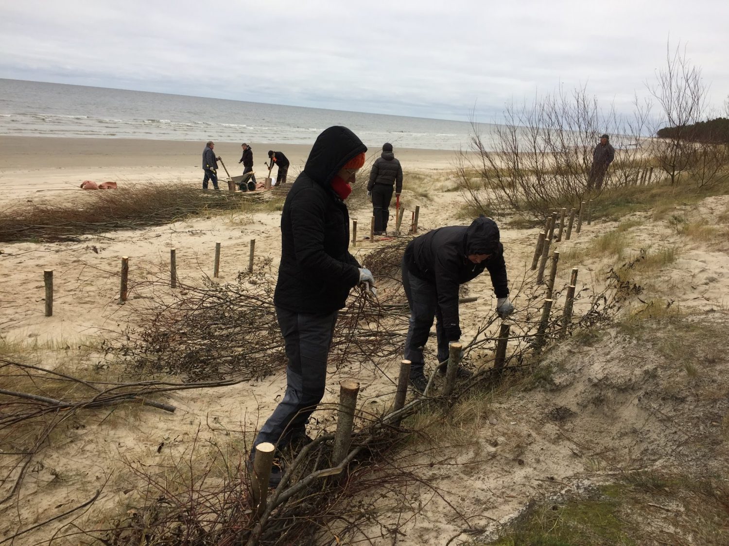 Gausajā jūdzē nostiprina kāpu