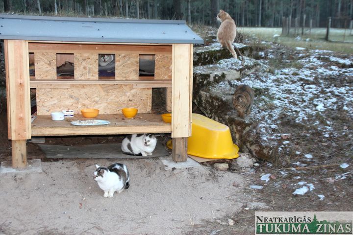 Kandavā uzstādīta kaķu mājiņa