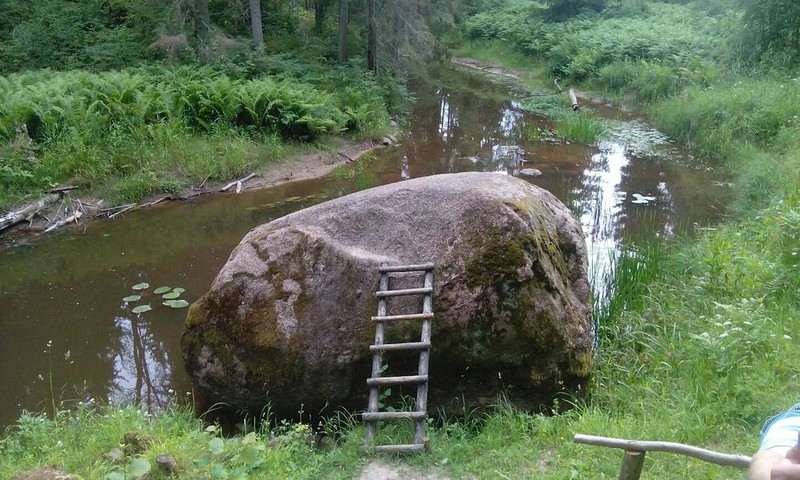 Rosina izveidot dabas parku un likvidēt ciemu