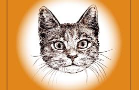 Atkārtoti izdots K. Ķezbera «Brencītis»