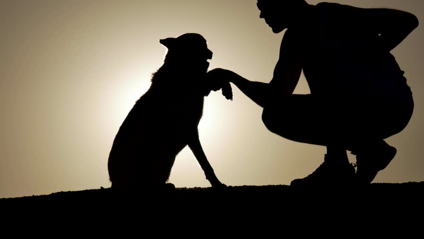 Izglābj vīrieti un viņa suni