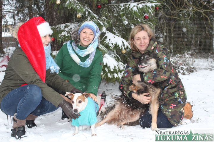 Saziedo Tukuma dzīvnieku patversmei