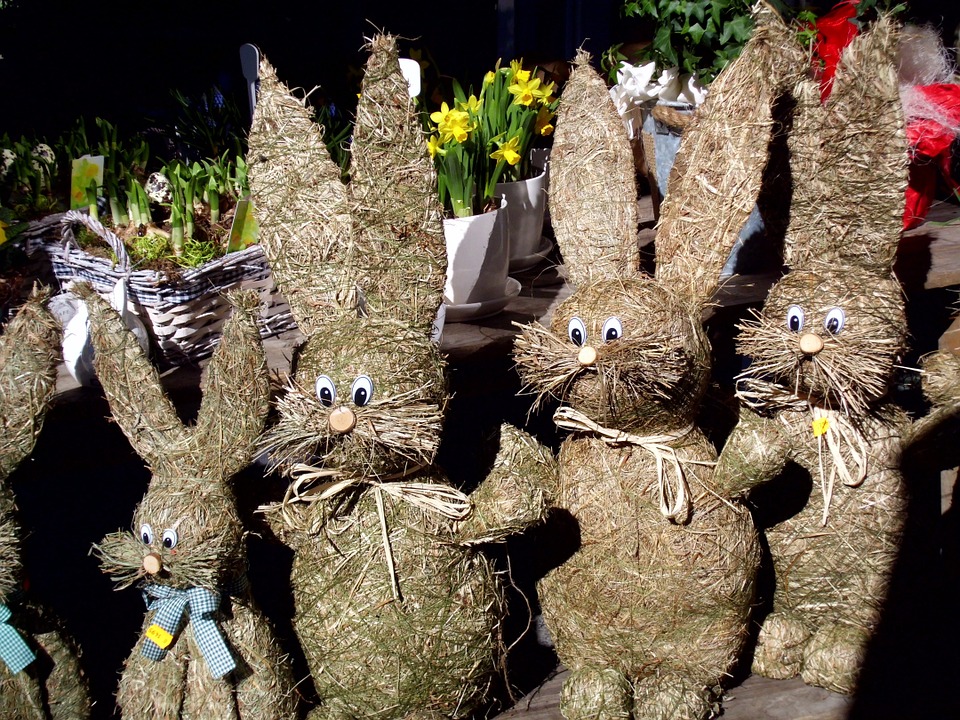 Kandavā būs «Zaķu festivāls»