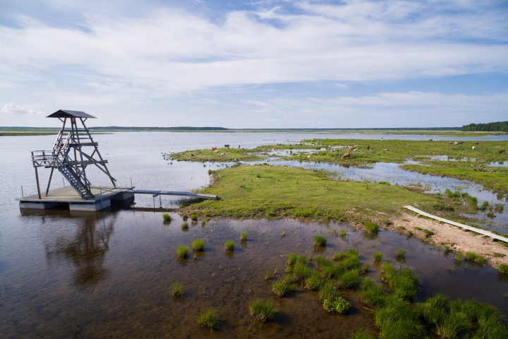 Kas par tīkliem Engures ezerā?