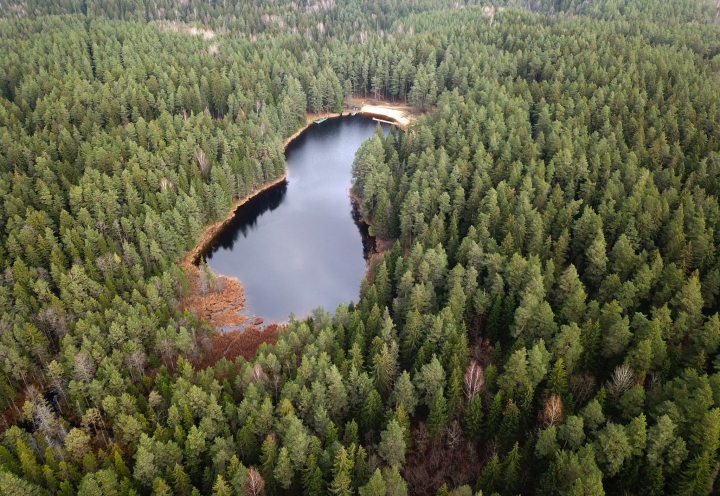 Melnezerā meklē, iespējams, noslīkušu jaunieti/Papildināts/