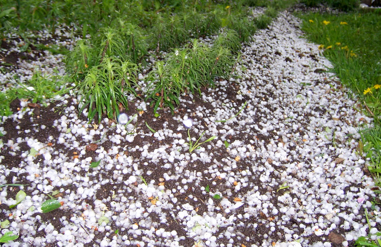 LAD: ieteikumi lauksaimniekiem, kam nopostīti tīrumi