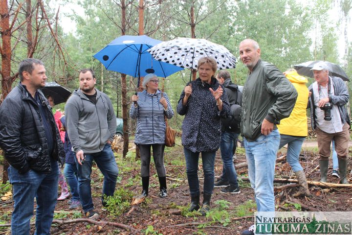Vērtē sakoptu mežu Pūres pagastā