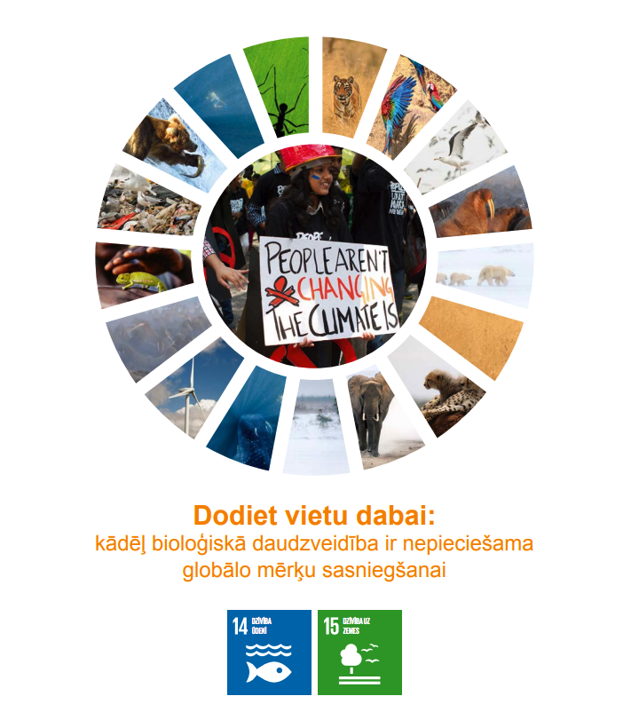 Aicina uz pasaules lielāko mācību stundu