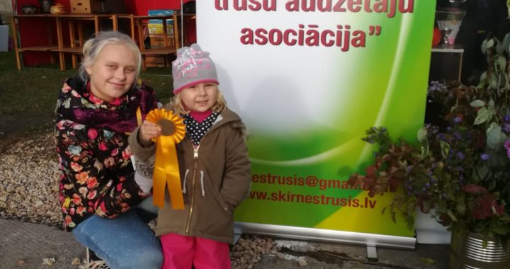 Novērtē Jaunpilī augušos trušus