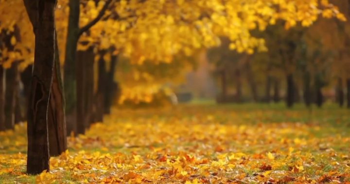 Aicina veidot novada stāstus