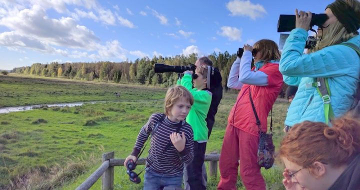 Putnu vērošana un koncerti nedēļas nogalē