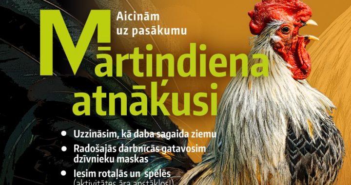 Aicina svinēt Mārtiņdienu Lapmežciemā