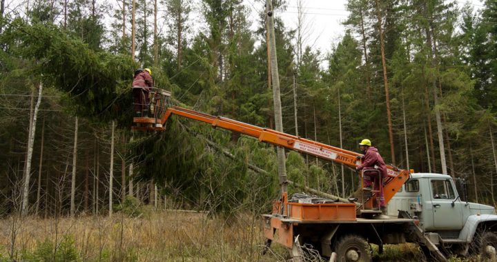 Kad vējš tikai pieņemas spēkā