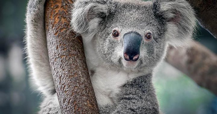 Dzīve mutuļo… garām?