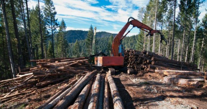 Vai noliegt acīmredzamo?