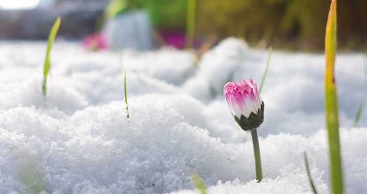 Lai mums visiem izdodas nenogulēt pavasara atmodu