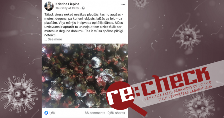 Nav taisnība – aktīvā ogle un vēsa duša neatveseļos no Covid-19